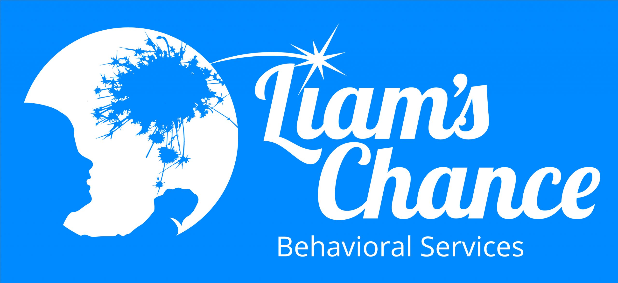 Liam's Chance Behavioral Services | Web 2.0 Directory